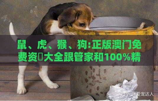 鼠、虎、猴、狗:正版澳门免费资枓大全跟管家和100%精准谜语怎么解-效果解读、专家解读解释与落实,抵制不实承诺危害