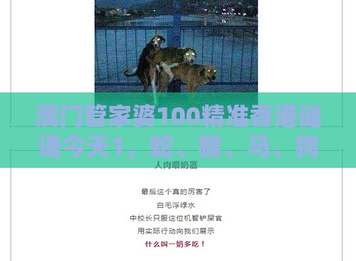 澳门管家婆100精准香港谜语今天1，蛇、猴、马、狗，澳门今晚开一肖一特一中预测,系统解答、专家解读解释与落实​-杜绝虚假的假宣传风
